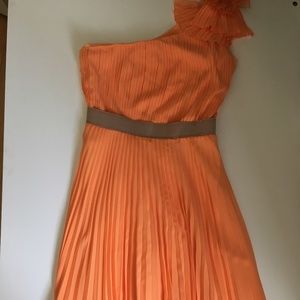 BCBGMaxAzria Orange Ruffled Dress